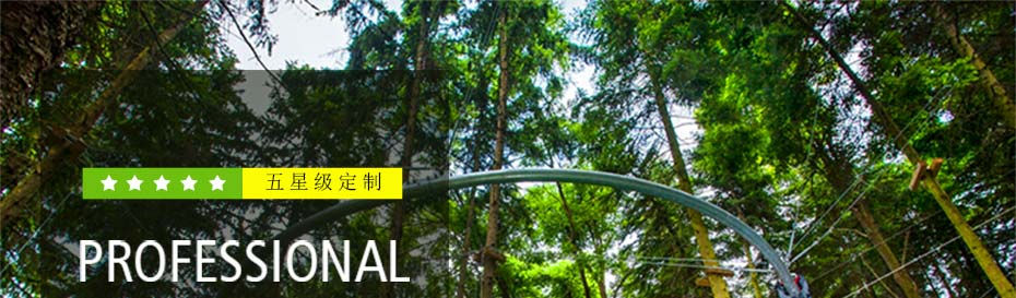 高空滑道 高空滑道